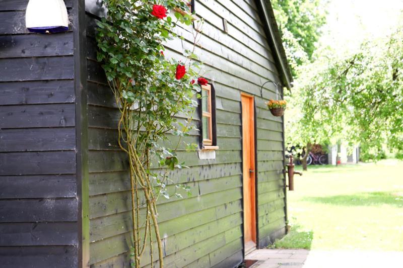 Wilderness B&B 3 Self Contained Rooms Nr Sissinghurst Headcorn エクステリア 写真
